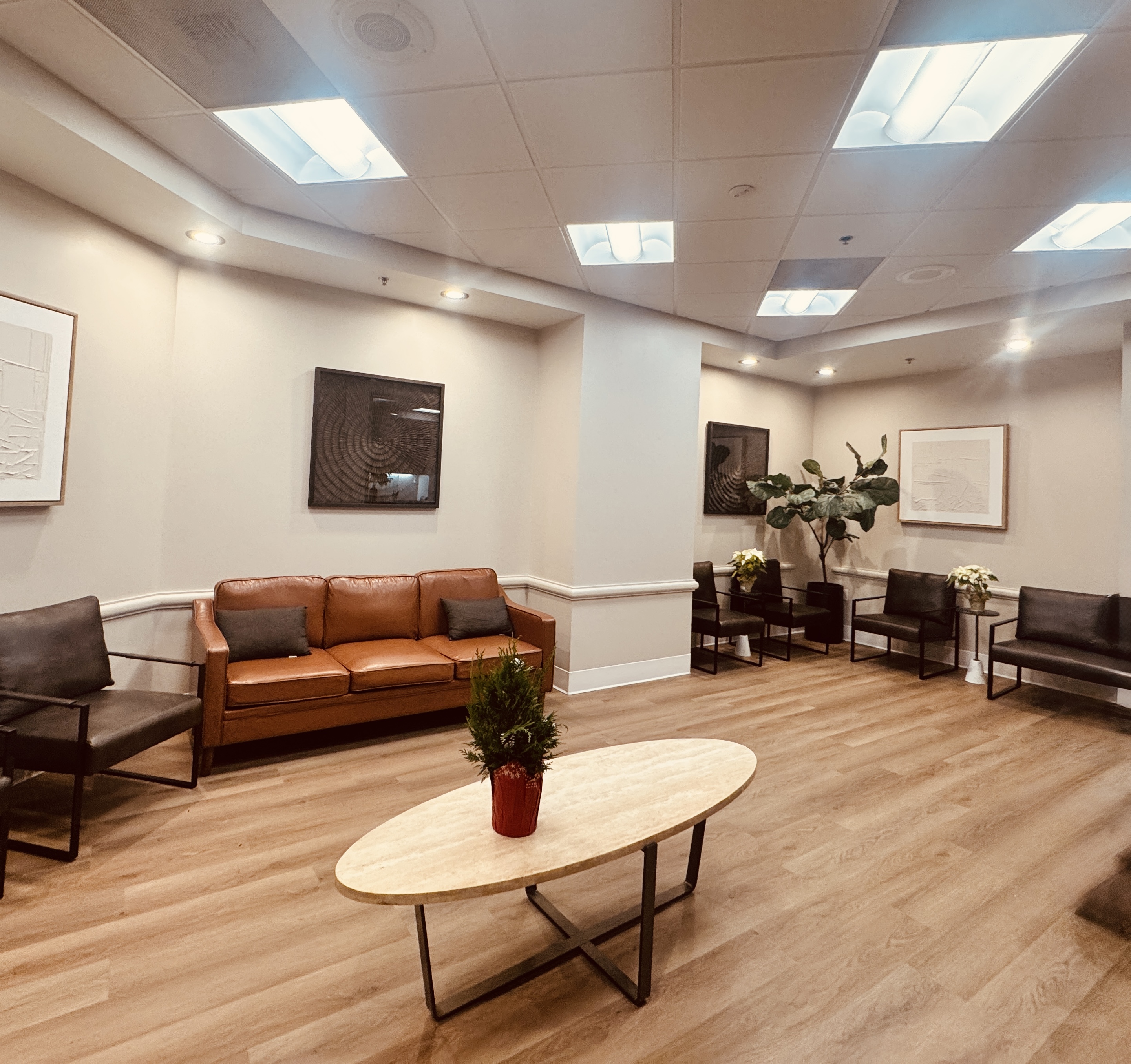 Image of the office's lobby / waiting area. Whote room with couches and black chairs. We see a center table with a decorative plant.